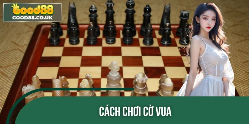 Cách Chơi Cờ Vua Chuẩn Xác Như Cao Thủ - Dễ Học, Dễ Thắng