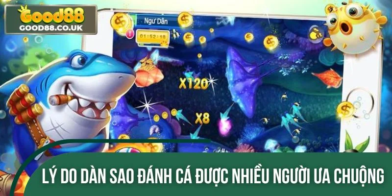 Lý do Dàn Sao Đánh Cá được nhiều game thủ ưa chuộng