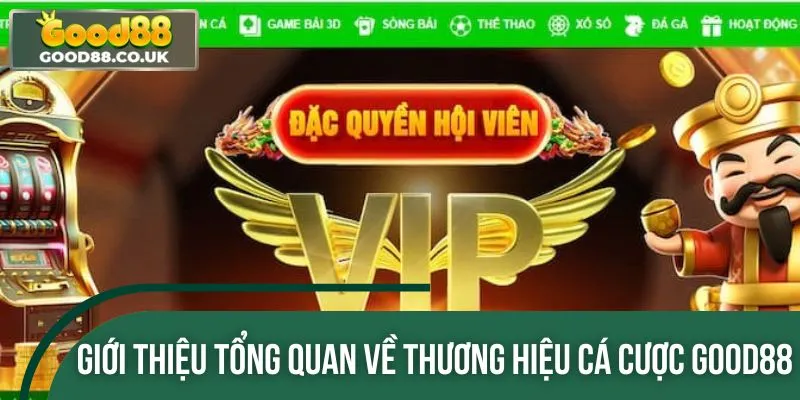 Thông tin sơ lược giới thiệu về cổng game