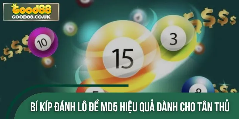 Mẹo chơi lô đề MD5 bất bại dành cho tân binh